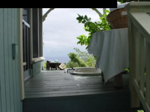 0 Maka'alae Road Hana, HI 96713 - Photo 8 of 8 a view of a potted plant in front of a door