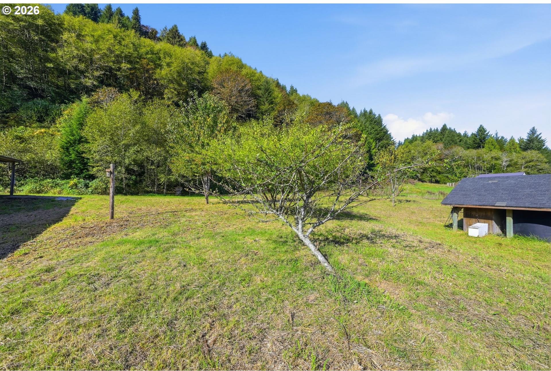 3380 North Fork Smith River Road Reedsport, OR 97467 - Photo 43 of 48 Gallery Image 43