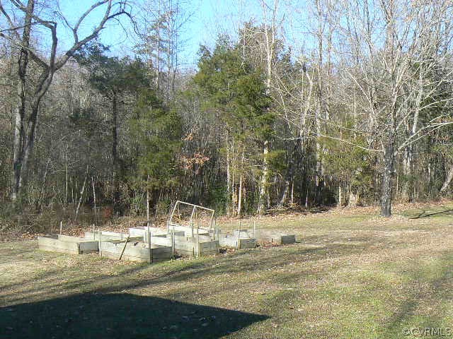 642 Cooks Road Farmville, VA 23901 - Photo 31 of 31 a view of a yard with a tree