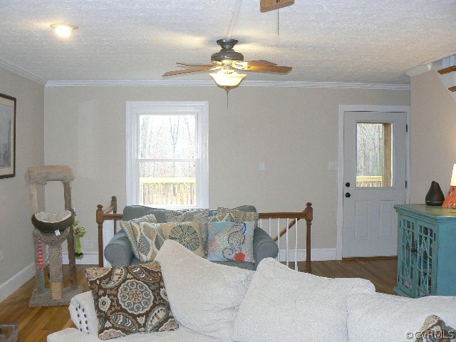 642 Cooks Road Farmville, VA 23901 - Photo 6 of 31 a living room with furniture and chandelier