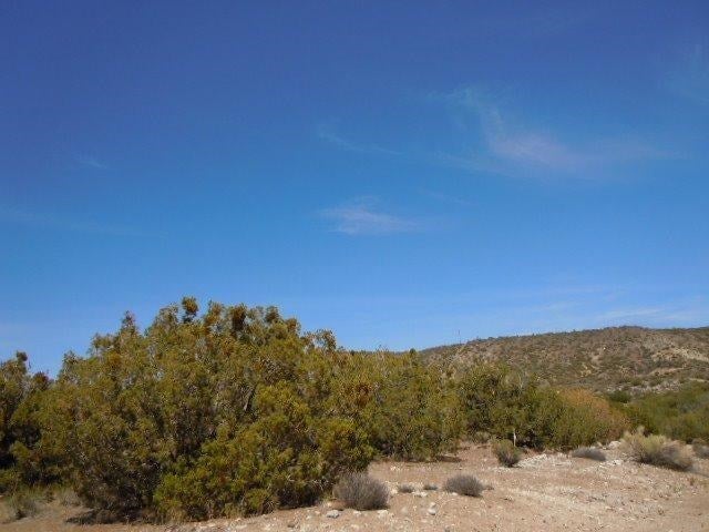 0 Juniper Way Tehachapi, CA 93561 - Photo 4 of 16 Gallery Image 4
