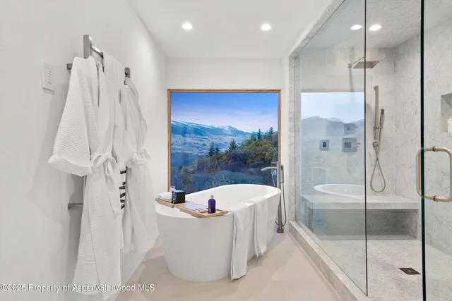 a bathroom with a bathtub and a shower