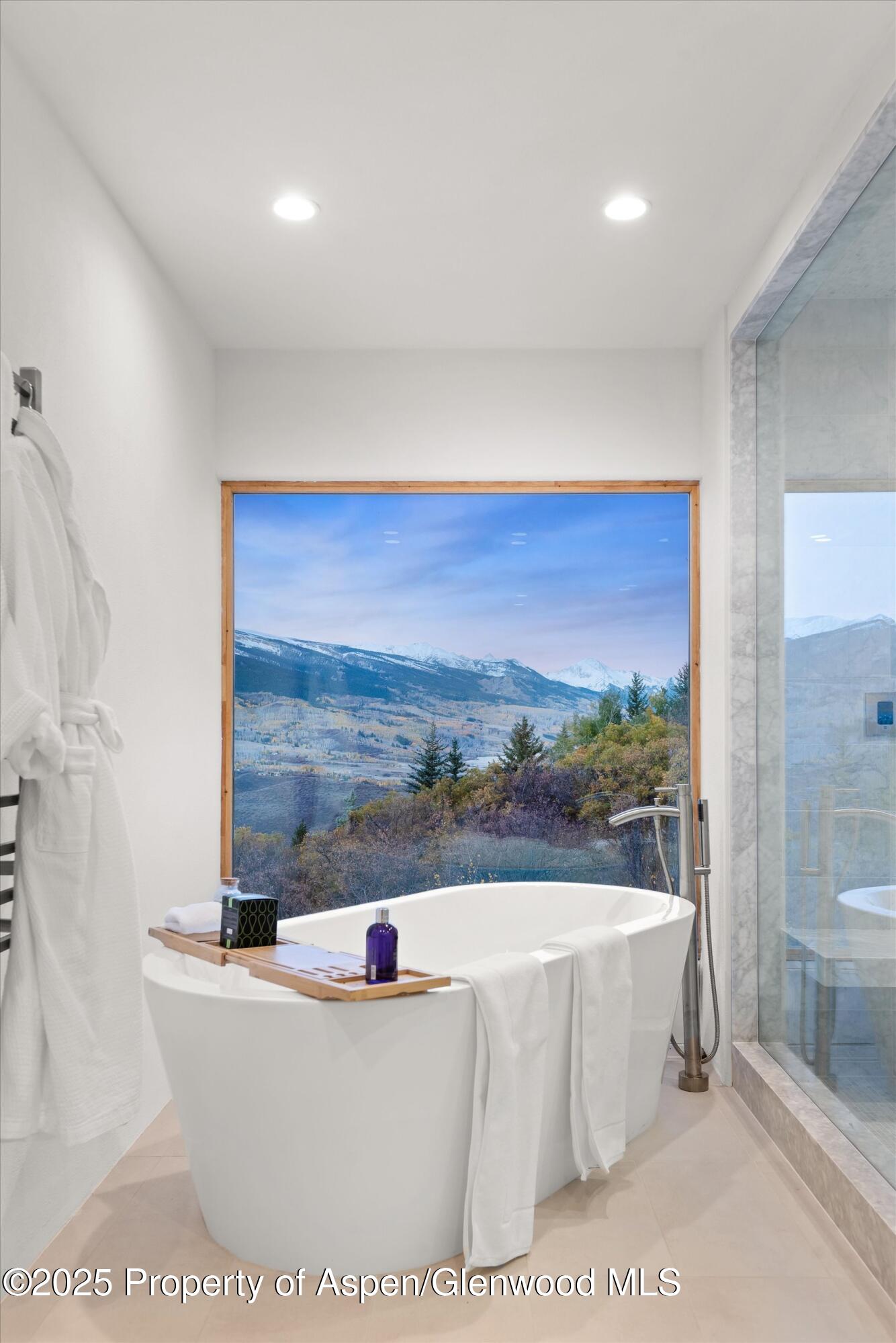 699 Eppley Drive Aspen, CO 81612 - Photo 19 of 45 a view of a bathtub in a room