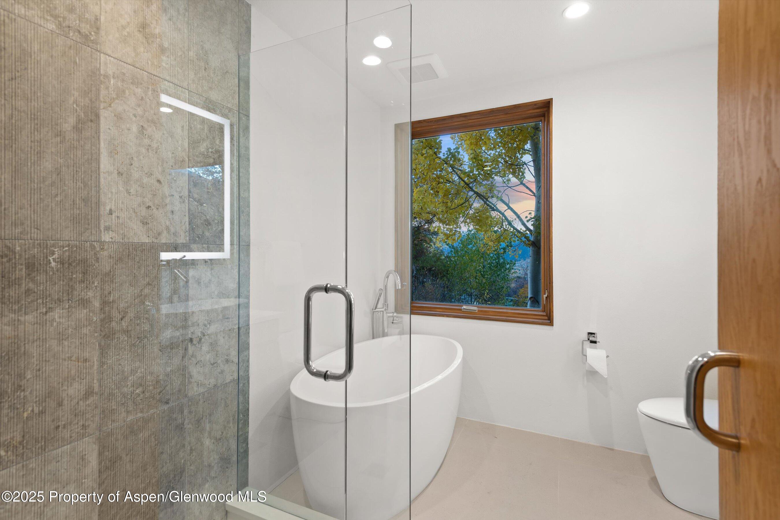 699 Eppley Drive Aspen, CO 81612 - Photo 32 of 45 a bathroom with a toilet sink and tub