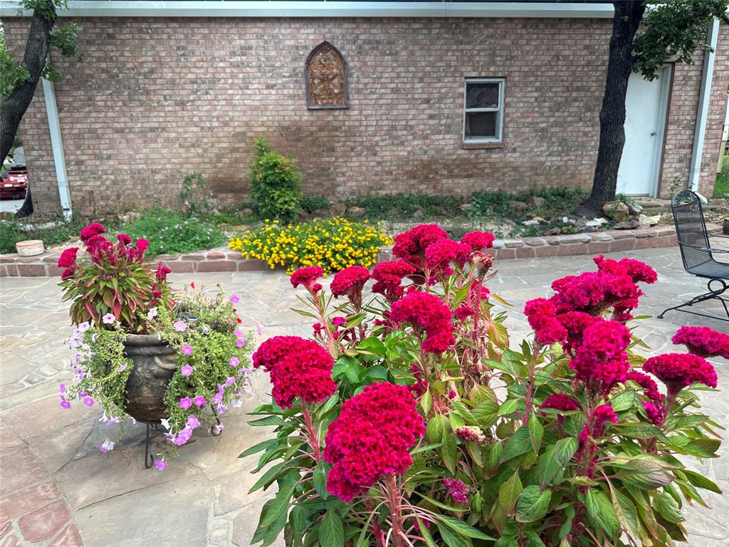 1149 Country Club Road Bowie, TX 76230 - Photo 15 of 17 a view of front door of house and flowers