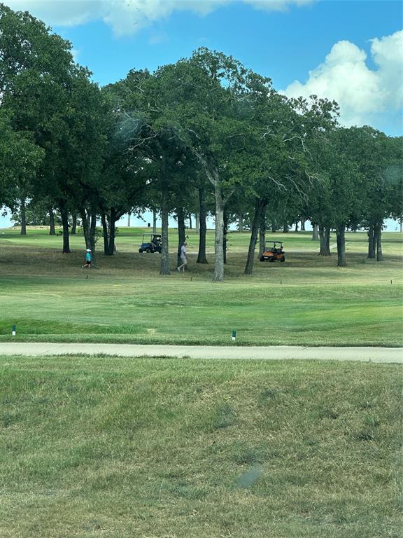 1149 Country Club Road Bowie, TX 76230 - Photo 17 of 17 a grassy field with trees in the background