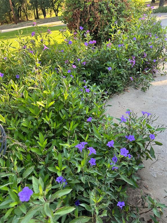 1149 Country Club Road Bowie, TX 76230 - Photo 9 of 17