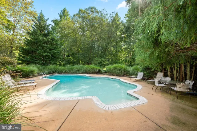 a view of a swimming pool and lounge chair
