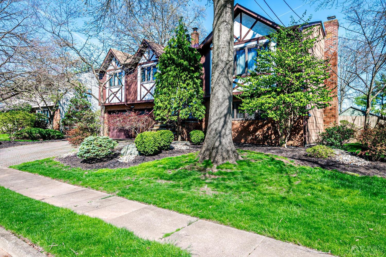 30 Baltic Street Edison, NJ 08820 - Photo 3 of 42 a view of a yard with plants and a large tree