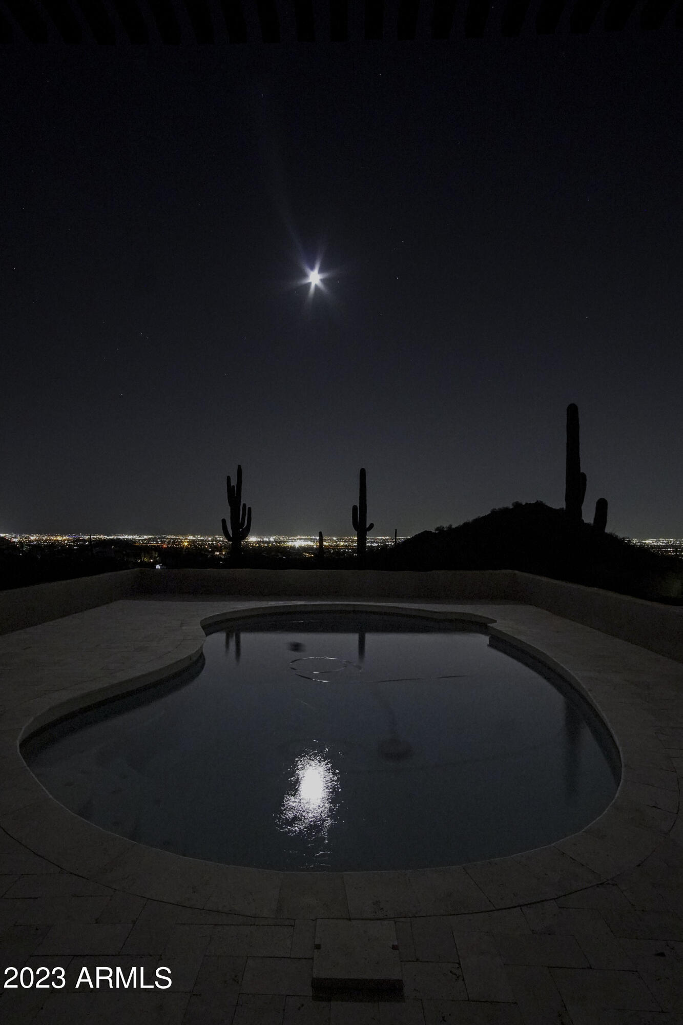 8718 East Range Rider Trail Mesa, AZ 85207 - Photo 6 of 39 Pool Pic