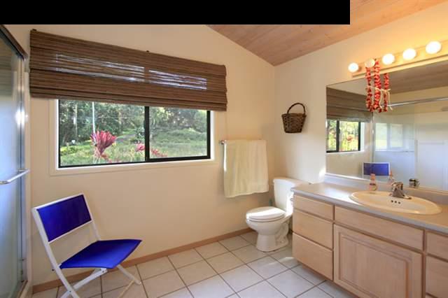 180 Kapuai Road Haiku, HI 96708 - Photo 18 of 29 a bathroom with a toilet a sink and a mirror