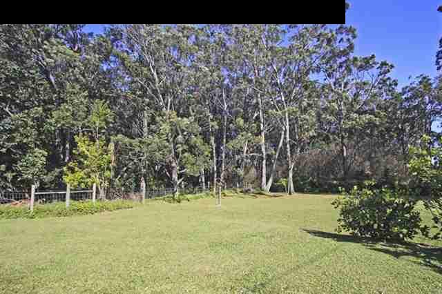 180 Kapuai Road Haiku, HI 96708 - Photo 23 of 29 a backyard of a house with lots of green space