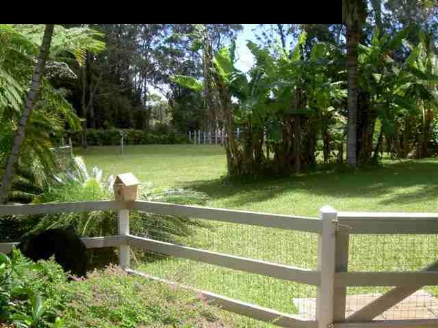180 Kapuai Road Haiku, HI 96708 - Photo 29 of 29 a view of a lake from a yard