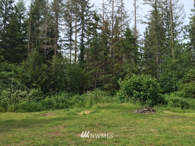 46384 Baker Loop Road Concrete, WA 98237 - Photo 15 of 18 Gallery Image 15