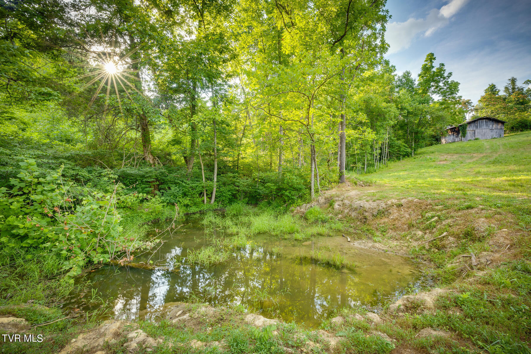 220 Slagle Road Elizabethton, TN 37643 - Photo 55 of 69 050