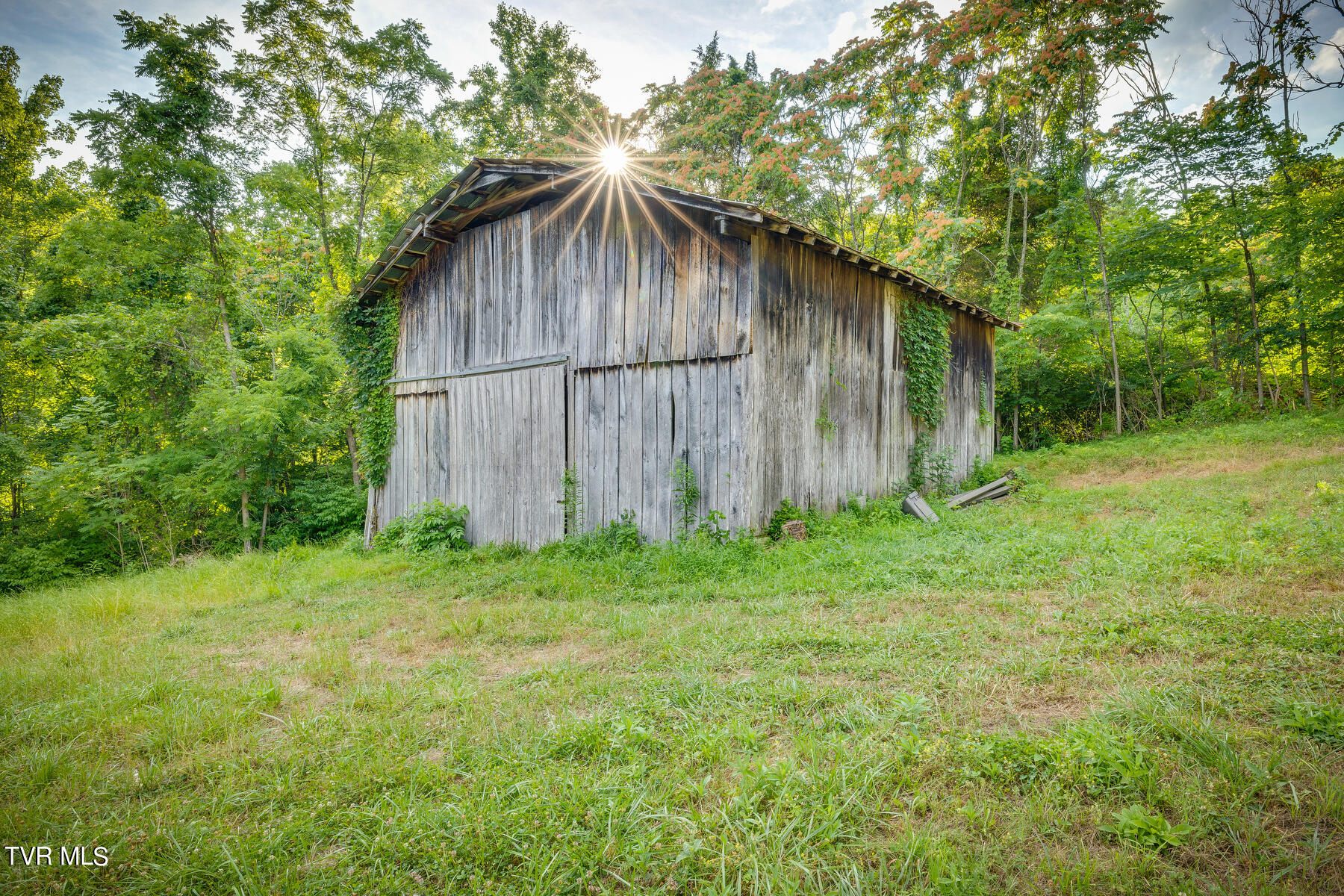 220 Slagle Road Elizabethton, TN 37643 - Photo 56 of 69 051