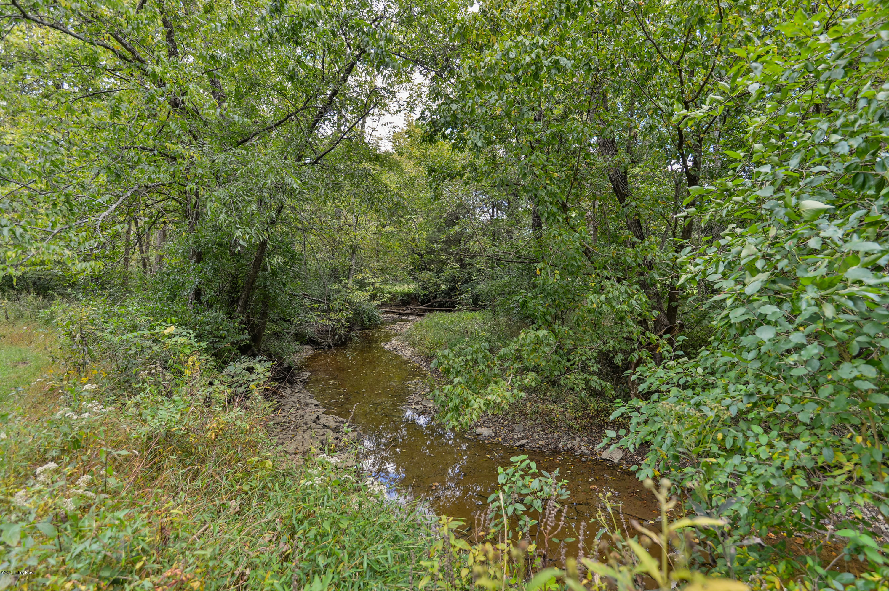 1589 Conner Station Road Simpsonville, KY 40067 - Photo 88 of 123 105 - 20201001 3920