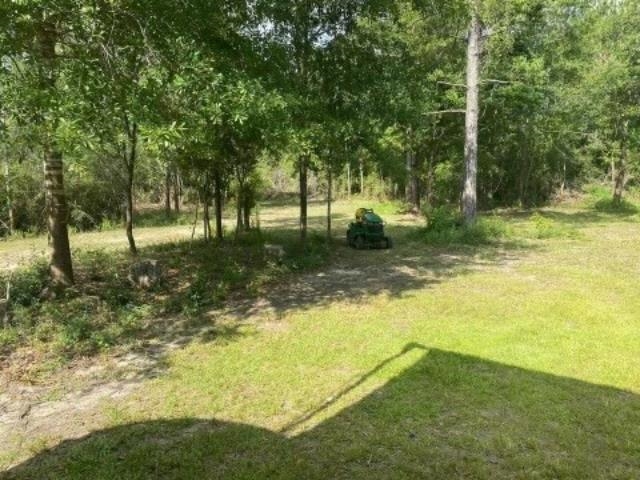 19345 Vaughn Road Seminole, AL 36574 - Photo 11 of 14