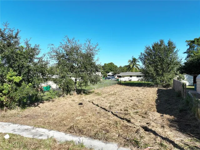 a view of a yard with plants and trees