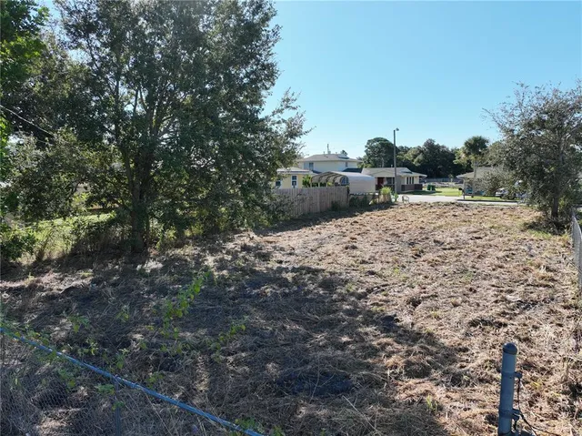 a view of a dry yard with trees