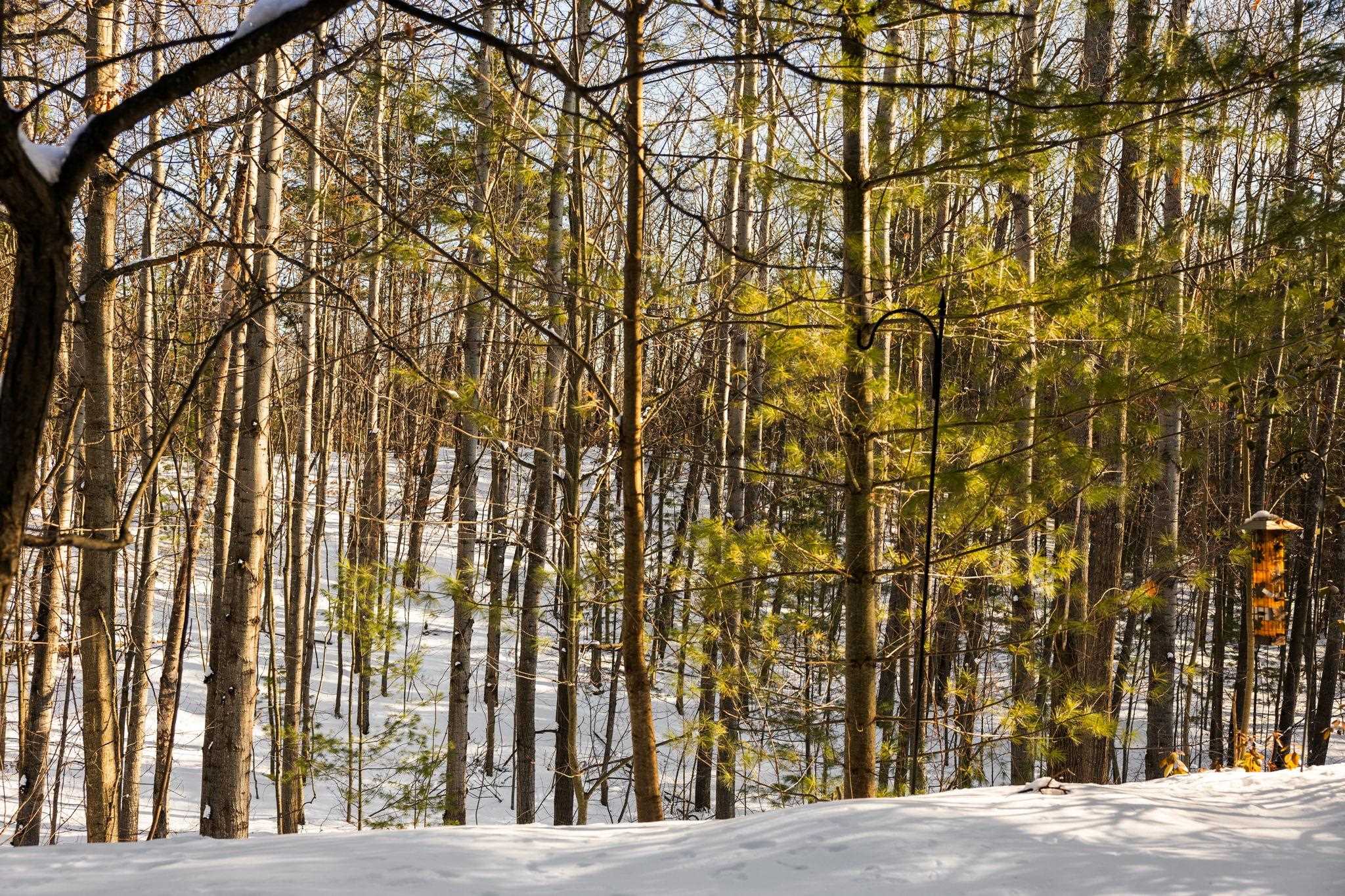 6550 Mission Ridge Traverse City, MI 49686 - Photo 50 of 51 1941663-fb73e4ec-a732-4ad0-96d9-75478f74affc.JPG