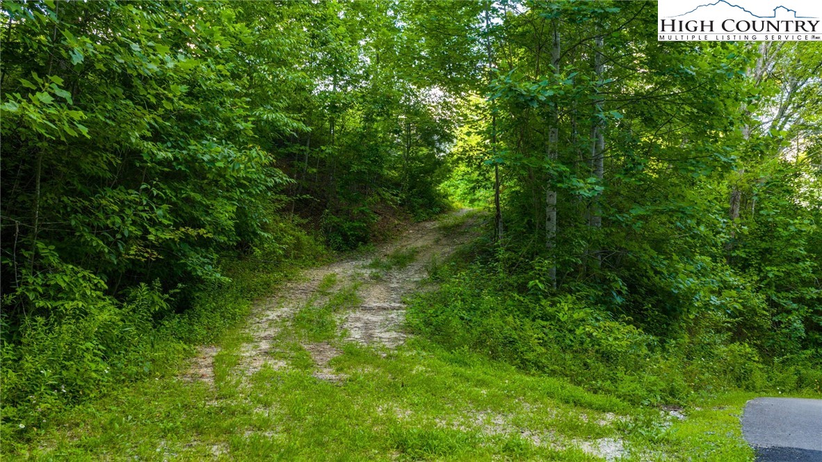 Tbd-6 Big Laurel Road Creston, NC 28615 - Photo 1 of 11 Gallery Image 1