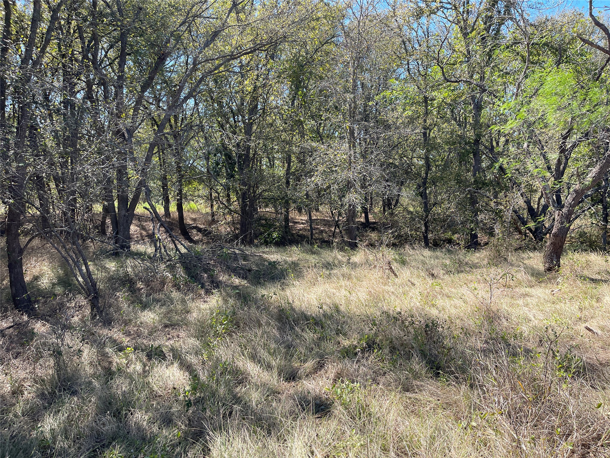 12212 Ballerstedt Road Elgin, TX 78621 - Photo 22 of 29 Mature trees frame a peaceful clearing on this beautiful, secluded lot.