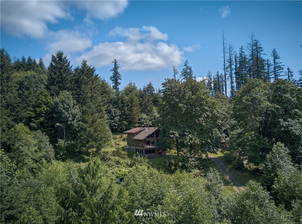 2707 Dabob Road Quilcene, WA 98376 - Photo 33 of 36 a view of a garden from a yard