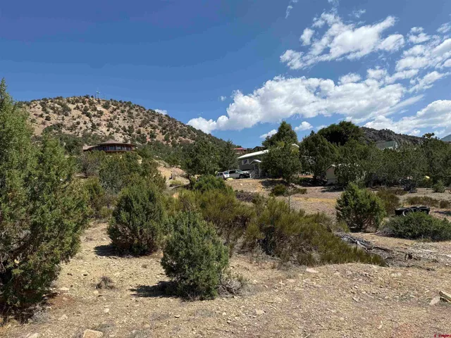 an aerial view of houses covered in trees