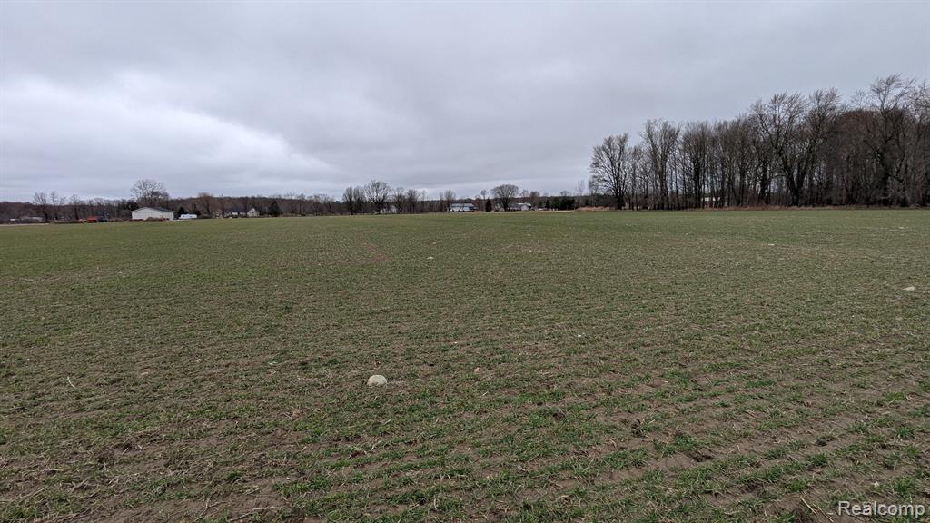 0 Holmes Road Allenton, MI 48002 - Photo 3 of 6
