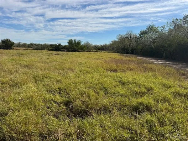 $1,450,000 | 39001 Mile 14 Road, Edinburg, TX 78541