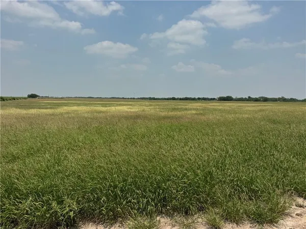 $1,450,000 | 39001 Mile 14 Road, Edinburg, TX 78541