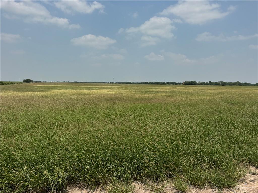 39001 Mile 14 Road Edinburg, TX 78541 - Photo 7 of 9