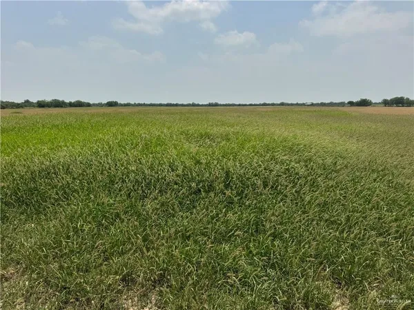$1,450,000 | 39001 Mile 14 Road, Edinburg, TX 78541