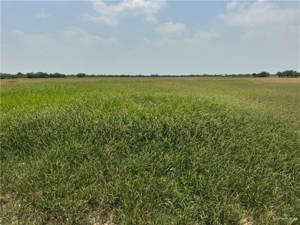 39001 Mile 14 Road Edinburg, TX 78541 - Photo 9 of 9