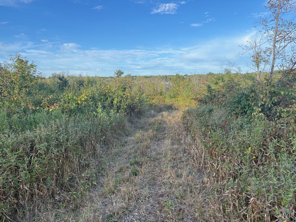 Rsa Road Central Square, NY 13036 - Photo 11 of 24