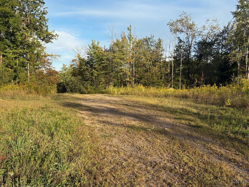 Rsa Road Central Square, NY 13036 - Photo 13 of 24