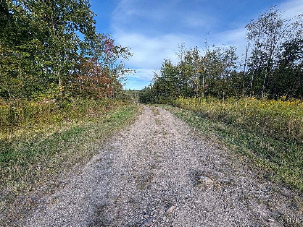 Rsa Road Central Square, NY 13036 - Photo 14 of 24