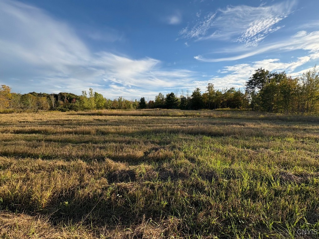 Rsa Road Central Square, NY 13036 - Photo 24 of 24