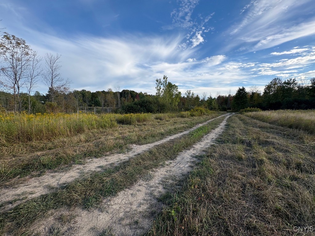 Rsa Road Central Square, NY 13036 - Photo 3 of 24 Driveway continues past cleared fields