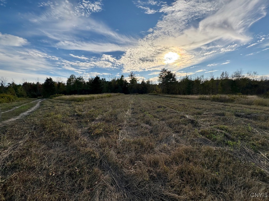 Rsa Road Central Square, NY 13036 - Photo 4 of 24