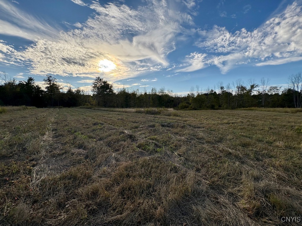 Rsa Road Central Square, NY 13036 - Photo 5 of 24