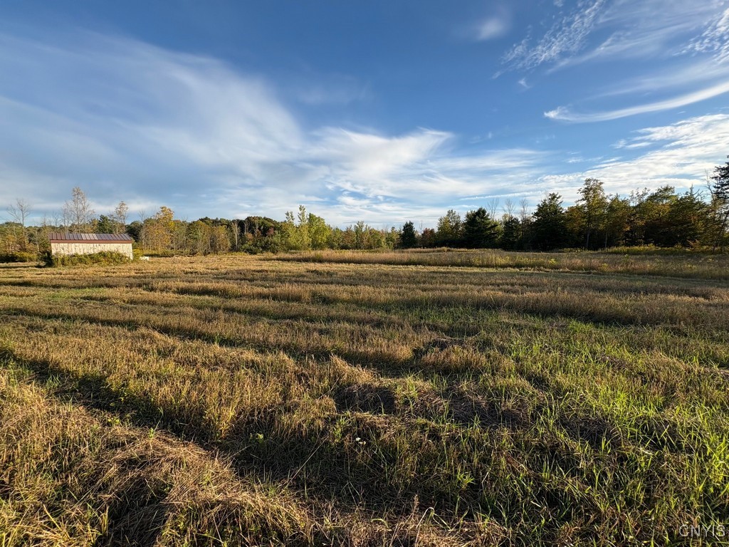 Rsa Road Central Square, NY 13036 - Photo 6 of 24