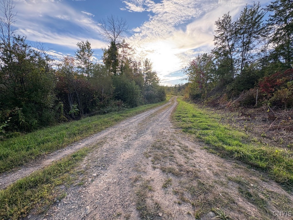 Rsa Road Central Square, NY 13036 - Photo 8 of 24