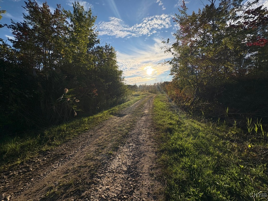 Rsa Road Central Square, NY 13036 - Photo 9 of 24