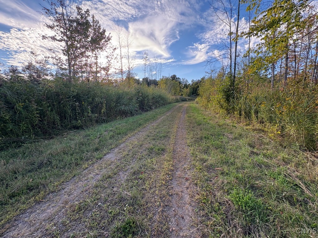 Rsa Road Central Square, NY 13036 - Photo 10 of 24