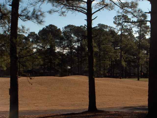 8239 Timber Ridge Road Conway, SC 29526 - Photo 15 of 15 Gallery Image 15