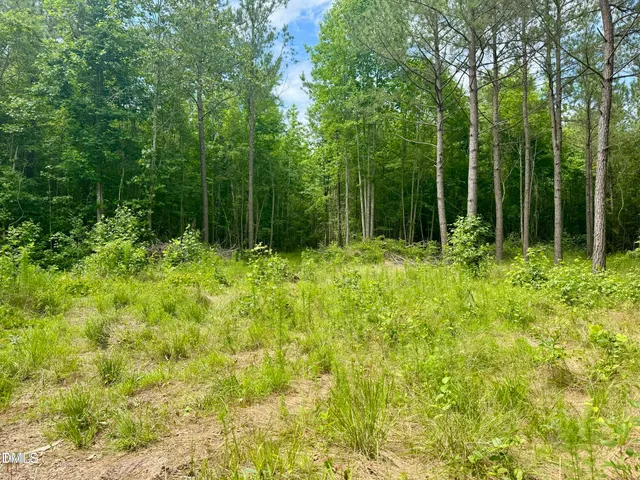 a view of backyard with green space