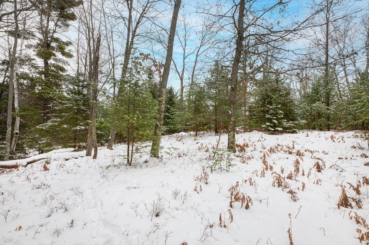 6155 River Road Eagle River, WI 54521 - Photo 5 of 9 Gallery Image 5