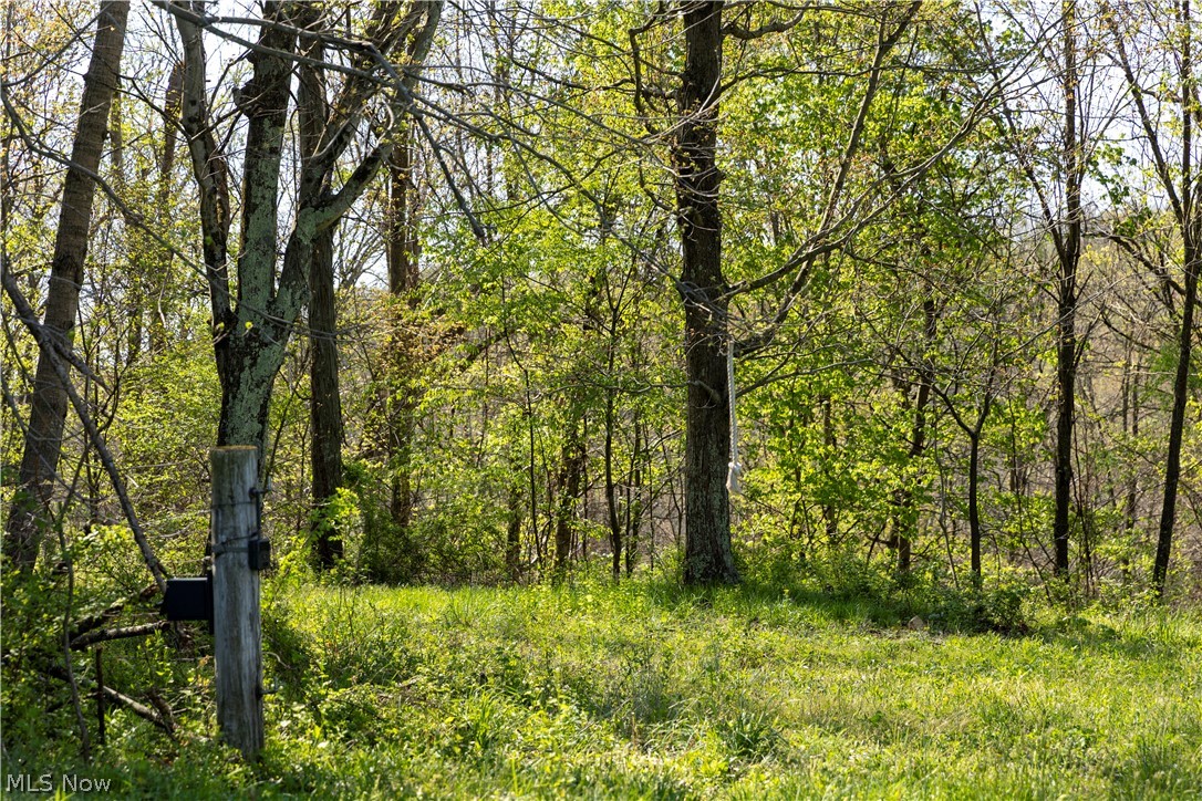 80960 Burkhart Road Tippecanoe, OH 44699 - Photo 50 of 50